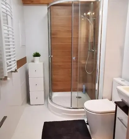 Apartment Klimatyczny Nr 8 Z Widokiem Na Gory Sowie Bielawa (Dzierzoniow)