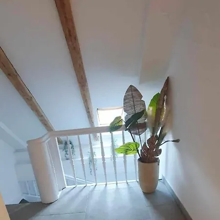 Luna - Klimatyczny Nr 8 Z Widokiem Na Poddaszu - Gory Sowie - Jezioro Apartment Bielawa (Dzierzoniow)