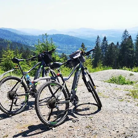 Apartment Klimatyczny Nr 8 Z Widokiem Na Gory Sowie *