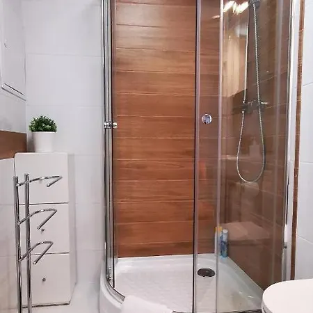 Apartament Klimatyczny Nr 8 Z Widokiem Na Góry Sowie Bielawa (Dzierzoniow)