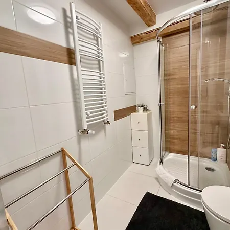 Apartment Luna - Klimatyczny Nr 8 Z Widokiem Na Poddaszu - Gory Sowie - Jezioro Bielawa (Dzierzoniow)