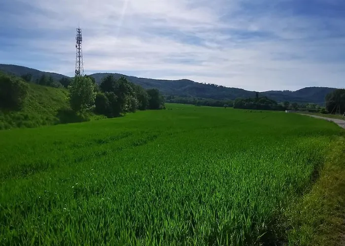 Lägenhet Klimatyczny Nr 8 Z Widokiem Na Gory Sowie Bielawa (Dzierzoniow)