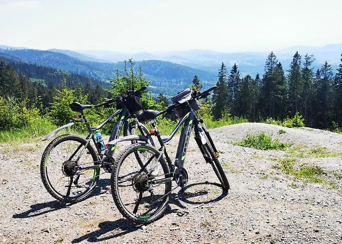 Lägenhet Klimatyczny Nr 8 Z Widokiem Na Gory Sowie *