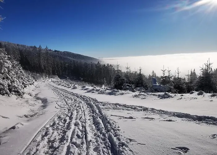 Klimatyczny Nr 8 Z Widokiem Na Gory Sowie Bielawa (Dzierzoniow)