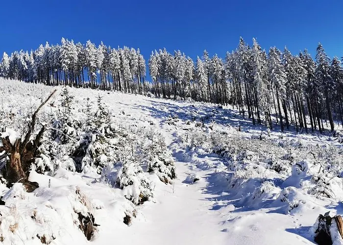 Klimatyczny Nr 8 Z Widokiem Na Gory Sowie Appartement *