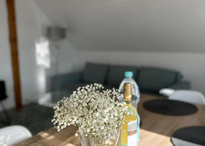 Klimatyczny Nr 8 Z Widokiem Na Gory Sowie *